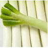山东大葱新鲜5斤蔬菜章丘香葱铁杆东北甜元葱