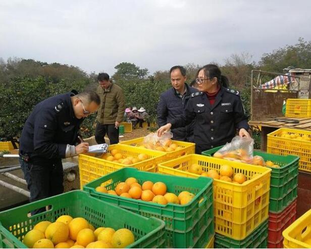 QQ截图20201208162631