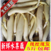 莲藕新鲜2021湖北特产蔬菜现挖现发生吃嫩藕水果藕脆藕顺丰包邮