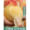正宗无锡阳山水蜜桃湖景桃子旗舰店软桃新鲜水果礼盒装特产顺丰