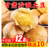 甘肃定西大土豆新鲜10斤包邮洋芋黄心沙面马铃薯高山农产品蔬菜