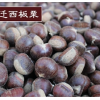 宽城遵化青龙鲜油栗河北燕山糖炒专用产地直发100斤
